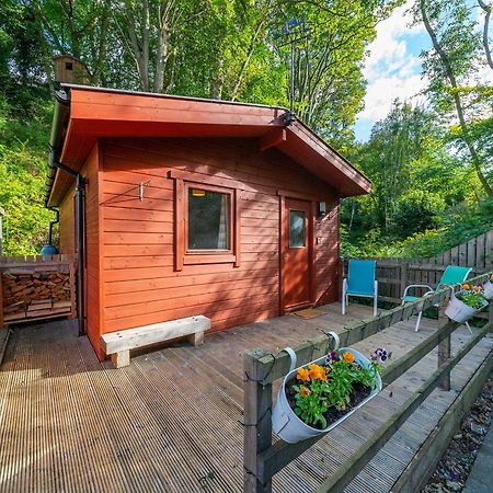 Villa Cabin In The Den à New Scone Extérieur photo