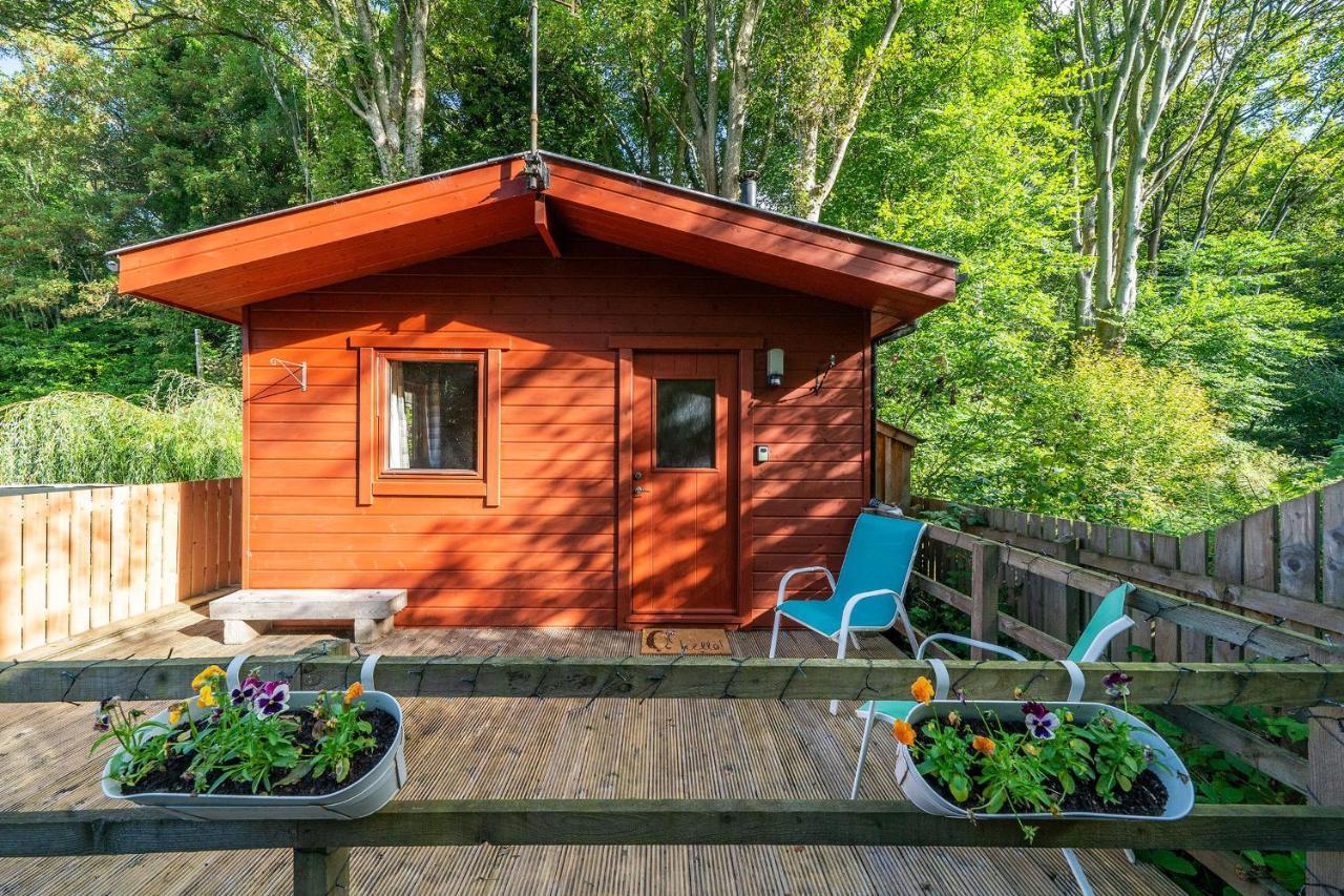 Villa Cabin In The Den à New Scone Extérieur photo